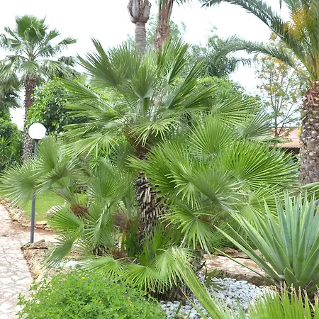 컨트리하우스 Masseria Pisciani *