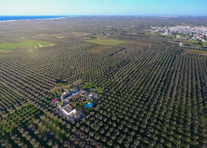 Masseria Pisciani