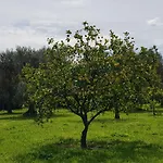 Masseria Pisciani *