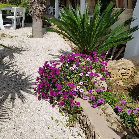 Masseria Pisciani Gospodarstwo wiejskie