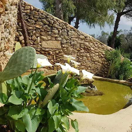 Masseria Pisciani *